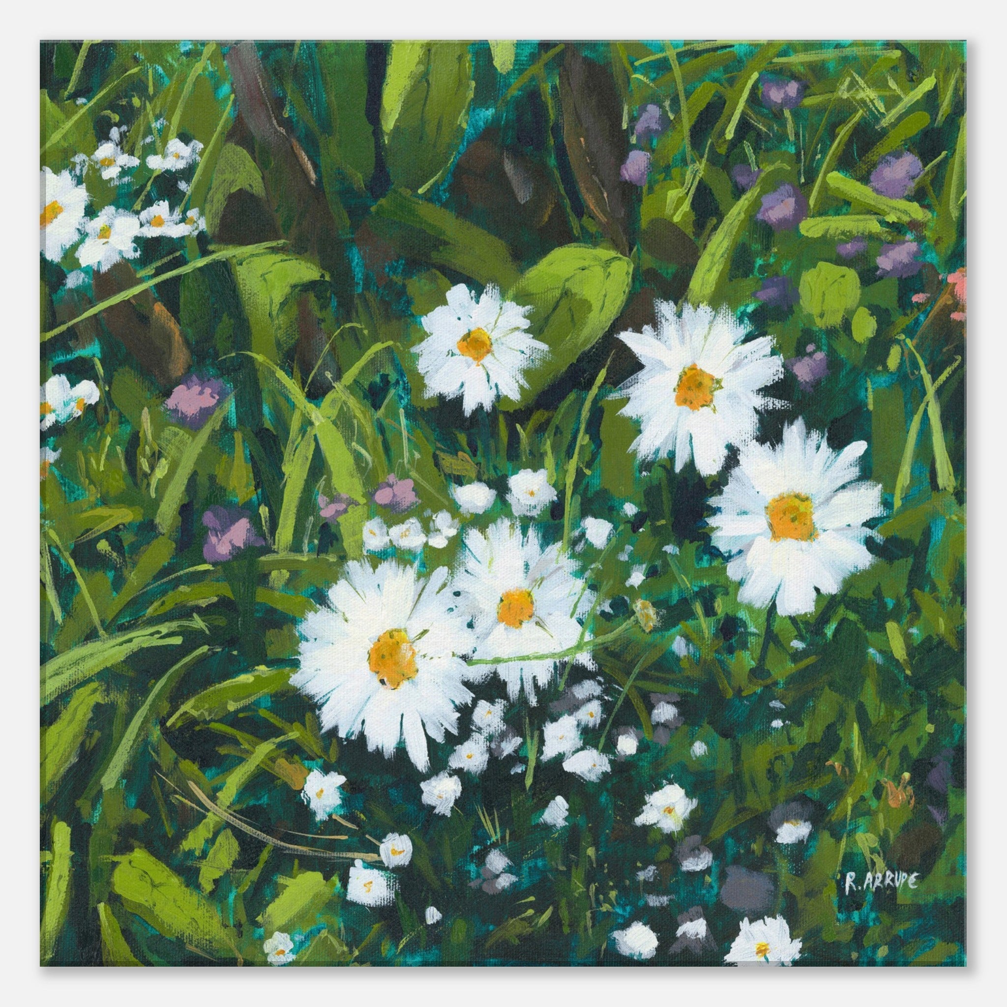 Daisies (Right) Canvas Print - rocioarrupe